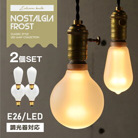 【2個セット】エジソンバルブLED ノスタルジア E26 ロングフロスト GLOBEフロスト 調光器対応 エジソン電球 電球色 暖色 フロストガラス すりガラス 艶消し 眩しくない レトロ アンティーク風 眺められる電球 インテリアテリア照明 マット