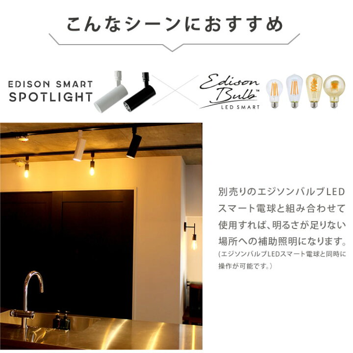 楽天市場】【2個セット】スマートLED スポットライト ダクトレール用 