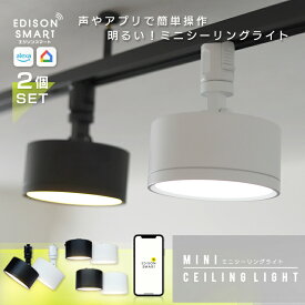 【2個セット】エジソンスマート ミニシーリングライト Wi-Fi スマート照明 LED 天井照明 引掛けシーリング照明 ダクトレール照明 音声操作 調光 調色 タイマー機能 自動化 IoT 明るい ダウンライト アプリ アレクサ グーグルホーム Siri スマートスピーカー対応