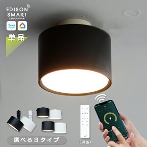�P�i �G�W�\���X�}�[�g �~�j�V�[�����O���C�g led�V�[�����O���C�g Wi-Fi �X�}�[�g�Ɩ� �������F �A�v�� �A���N�T Google�z�[�� �Ή� �������� ���u���� �^�C�}�[ ���邢 ���^ �d�C �V��Ɩ� �_