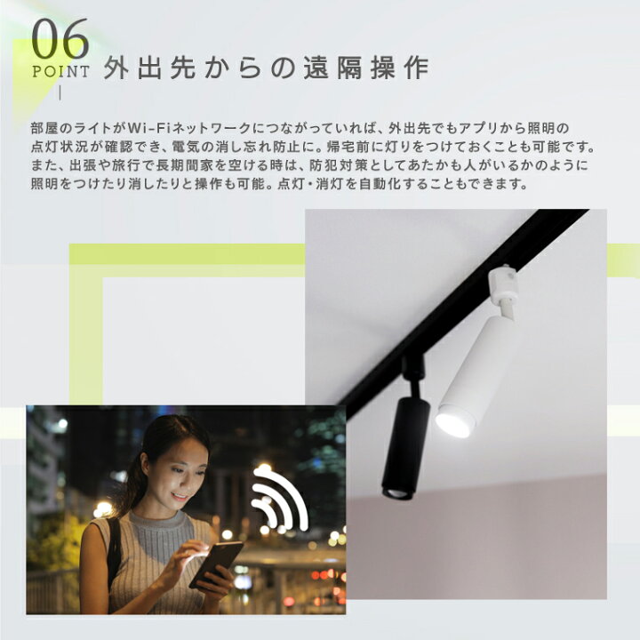 楽天市場】2個セット ダクトレール ライト エジソンスマート ミニ 