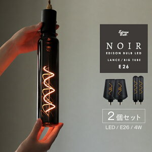 [2Zbg] E26 LED d m[ ^ 傫 rbOTCY LEDd Ή [WTCY CpNg  X ^ {g^ r^ BIG TUBE ~^ `[u GW\ou LED NOIR 