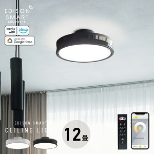 V[OCg 12 F LED VƖ   _ 铔 ԐڏƖ 邢 dF F X}[gƖ GW\X}[g Av X}z  alexa Google Home