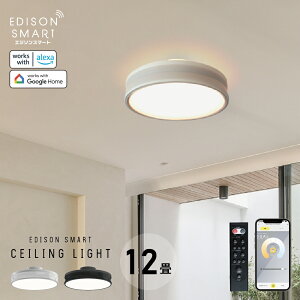 V[OCg 12 F LED VƖ   _ 铔 ԐڏƖ 邢 dF F X}[gƖ GW\X}[g Av X}z  alexa Google Home