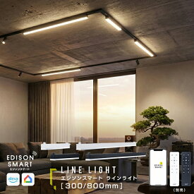 ダクトレール照明 エジソンスマート ラインライト 300mm / 800mm ライン照明 長い 細長い LED 照明器具 調光 調色 タイマー 遠隔操作 アプリ操作 Wi-Fi 音声操作 アレクサ グーグルホーム Siri 対応 オフィス照明 間接照明 シンプル モダン ベースライト