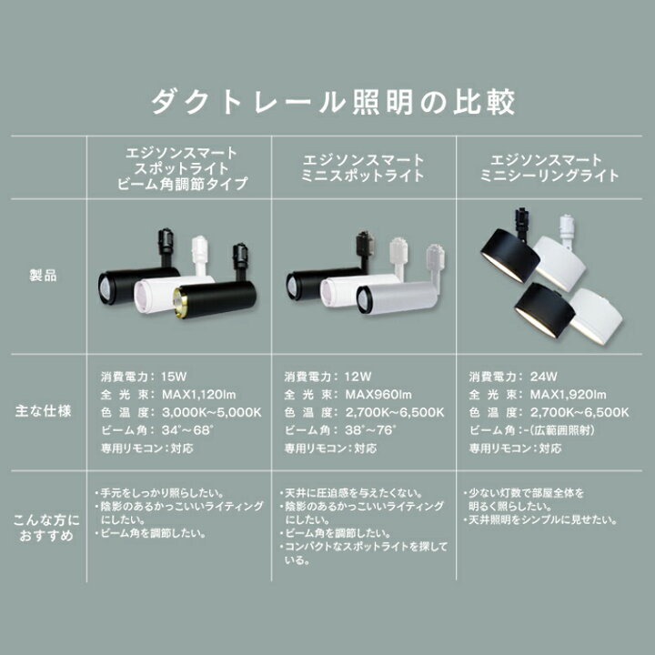 美品】エジソンスマート スマートスポットライト＋ダクトレール 間接 