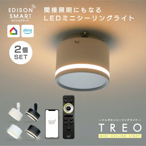 [2ZbgnGW\X}[g TREO ~jV[OCg F LEĎ^ _ECg 邢 ԐڏƖ[h Wi-Fi Av  u ^C}[@\ ANT Google Home Siri