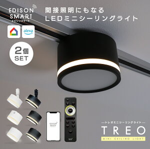 [2ZbgnGW\X}[g TREO ~jV[OCg F LEĎ^ _ECg 邢 ԐڏƖ[h Wi-Fi Av  u ^C}[@\ ANT Google Home Siri