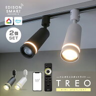 【2個セット】 LED スポットライト ダクトレール照明 ライティングレール 調光調色 明るい エジソンスマ…