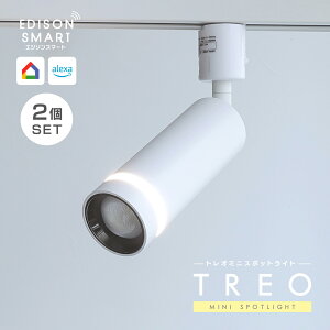 �y2�Z�b�g�z LED �X�|�b�g���C�g �_�N�g���[���Ɩ� ���C�e�B���O���[�� �������F ���邢 �G�W�\���X�}�[�g TREO �~�j�X�|�b�g���C�g �ԐڏƖ� �A�b�p�[�Ɩ� WiFi �A�v�� �X�}�z���� ��������