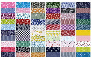 䕿@{ʂ2{Zbg@ 100@@5_Zbg m Ղ菬 ʂ Ăʂ { a G  v[g NbN|Xg  |Cg  hV̓ Mtg n