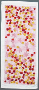 tFCX^I@OBORON ygt/݂z