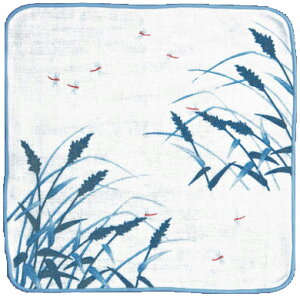 ^InJ`@OBORON yԂƂځz