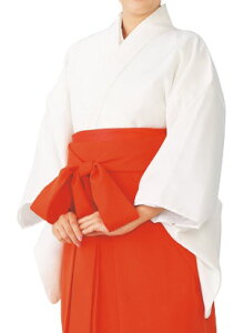 ޏނ(|GXe100) @Yn̍Yd