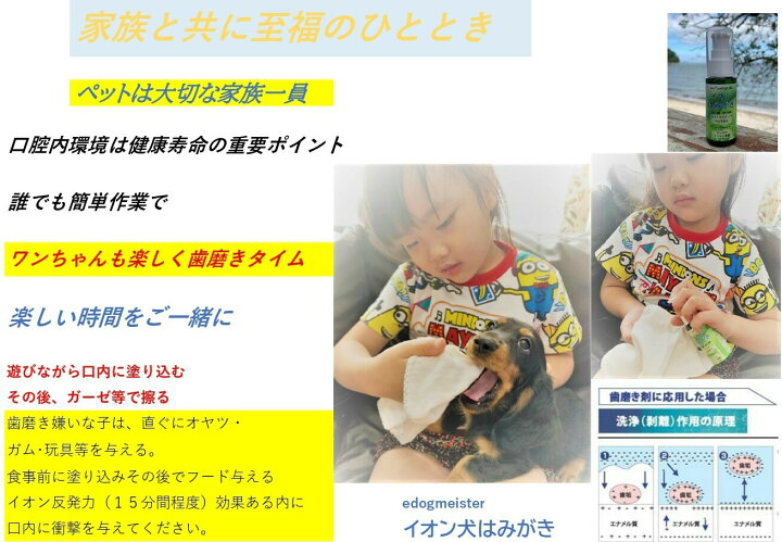 楽天市場 イオン 犬 はみがき テクニックミニ 犬デンタルケア 口臭 汚れ 歯石除去 Edogmeister