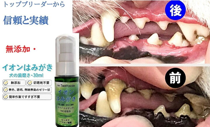 楽天市場 イオン 犬 はみがき テクニックミニ 犬デンタルケア 口臭 汚れ 歯石除去 Edogmeister