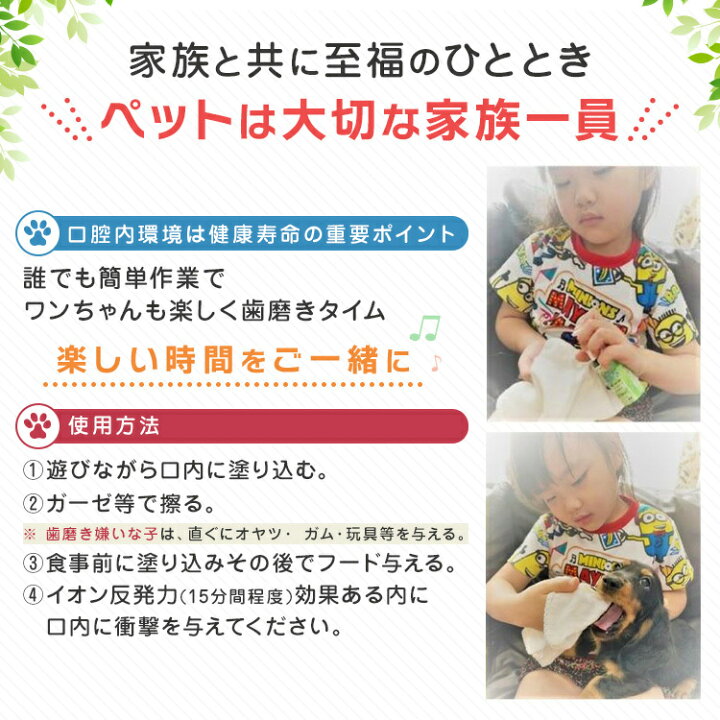 楽天市場 イオン 犬 はみがき テクニックミニ 犬デンタルケア 口臭 汚れ 歯石除去 Edogmeister