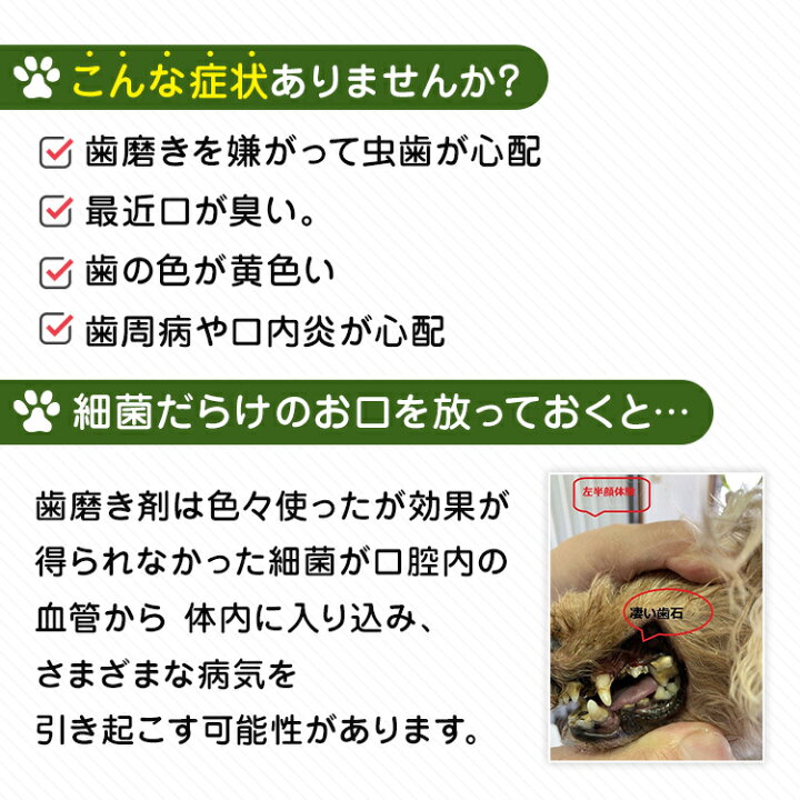 楽天市場 イオンはみがき サロンキット 犬デンタルケア 口臭 汚れ歯石除去 Edogmeister