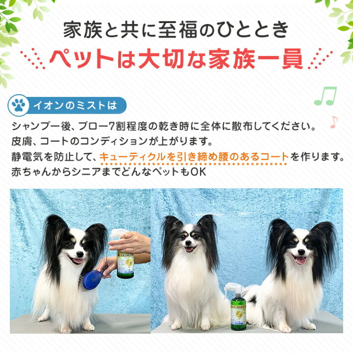 楽天市場 イオン 犬 はみがき テクニックミニ 犬デンタルケア 口臭 汚れ 歯石除去 Edogmeister