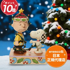 Xk[s[ `[[uE tBMA 15cm s[ibc WVA Charlie Brown Tangled Lights GlXR K㗝X peanuts v[g Mtg bsO CeA l` u RN^[YA