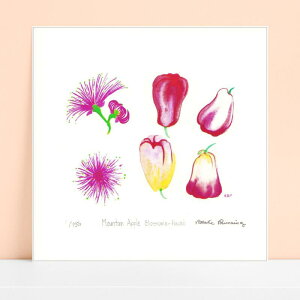 yr[TzU[ Mountain Apple Blossoms /  / matt SSTCY ` G CeA A[gpl _  A[g G _A[g  Q Ǌ| 킢  nC