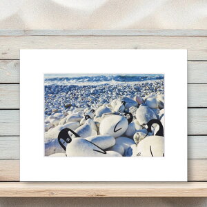 yr[TzT[tB G }bgvg Sun Seekers 25.4cm×20.3cm 35.5cm×27.8cm CeA A[gpl _  A[g G  Q Ǌ| 킢  nC C r[