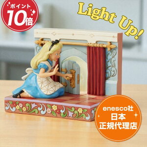 svc̍̃AX tBMA fBYj[ gfBV WVA Alice in Wonderland LED Door GlXR K㗝X v[g Mtg u l` CeA RN^[YACe 킢 