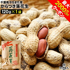 半額＆最大2,000円OFFクーポン 千葉県やちまた産 からつき落花生豆 高級感あるクラフト袋入 中手豊品種 120g×1袋 ナッツ 全国送料無料 酒のつまみ キャンプ 父の日