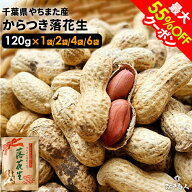 【最大55%OFFクーポン】 令和7年新豆 千葉県八街産 中手豊 からつき落花生 120g 高級クラフト袋入り ピー…