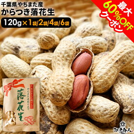 【最大60%OFF】 令和7年新豆 千葉県八街産 中手豊 からつき落花生 120g 高級クラフト袋入り ピーナッツ ナッツ お取り寄せ おつまみ お持たせ プレゼント 送料無料 ランキング1位 酒のつまみ 非常食 保存食 行楽 手土産 土産 お歳暮