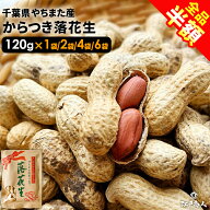 【全品半額★2,542円→1,271円】 令和7年新豆 千葉県八街産 中手豊 からつき落花生 120g 高級クラフト袋…