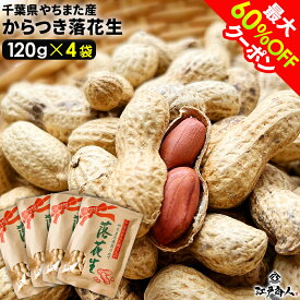【最大60%OFF】 令和7年新豆 千葉県やちまた産 からつき落花生 高級感あるクラフト袋入 中手豊品種 120g×4袋 ナッツ ピーナッツ おつまみ お取り寄せ プレゼント お持たせ お土産 非常食 保存食 行楽 手土産 土産 お歳暮