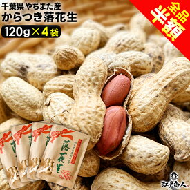 【全品半額＆クーポンOFF】 令和7年新豆 千葉県やちまた産 からつき落花生 高級感あるクラフト袋入 中手豊品種 120g×4袋 ナッツ ピーナッツ おつまみ お取り寄せ プレゼント お持たせ お土産 非常食 保存食 行楽 手土産 土産 お歳暮