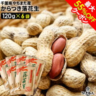 【最大55%OFFクーポン】 令和7年新豆 千葉県やちまた産 からつき落花生 高級感あるクラフト袋入 中手豊品…