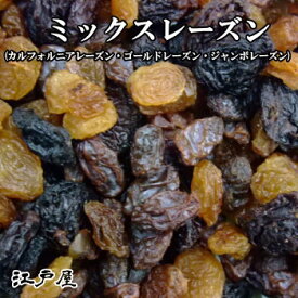 【送料無料】江戸屋 ダイエット食品 健康 ドライフルーツ ミックスレーズン500g【RCP】