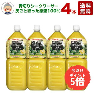 yubNtCf[PT5{zV[N[T[ t ILn 2L4{ W[XyzꌧY V[N[T[ ؂ 100 V[NT[ mr` ƖpTCYłłBbV