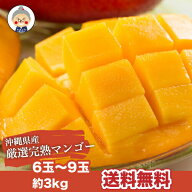 【お中元】沖縄産 完熟マンゴー 3kg 6-9玉 送料無料【予約受付中】リピーター続出の甘さ 暑中見舞いなど …