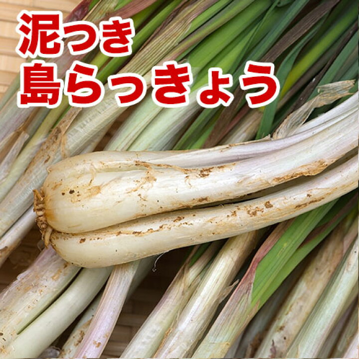 楽天市場】島らっきょう 沖縄県産 100g 量り売り 500g以上購入で100g 