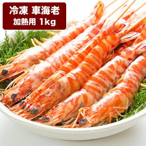 ԊCV 1kg LTCY 1kg(40~45O) N Ε  CN CV   OMtg g bɂȂlւ̑蕨 v[g Gryzzw\ bԃGrb