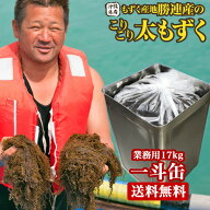 もずく 一斗缶 17Kg入り業務用【塩もずく】沖縄 勝連産 低カロリー健康ダイエット ギフトにも最適な、お…