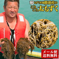 塩もずく 600g 使いやすい 小分け200g×3P 沖縄産 1000円ポッキリ！メール便送料無料 有数の名産地 勝連…