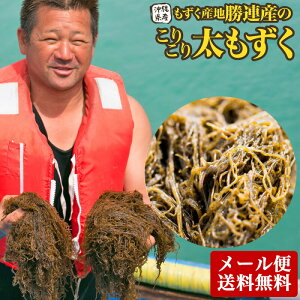  600g g₷ 200g×3P Y 1000~|bLI[֑ L̖Yn AYb600gb̃^̃I}PtI |_CGbgɂǂIʏi