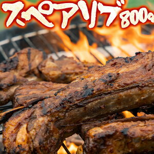 XyAu t 800g ItՂ t ؓ Yؓgp z[p[eB[ BBQɁI܂  o[xL[ Lv bXyAub