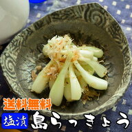 島らっきょう塩漬け【送料無料】200g 沖縄産らっきょうの仕入れにもこだわった逸品　50g×4袋の小分けタ…