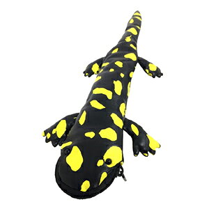 yIizAhx`[V[Y T}hyP[X