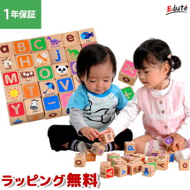 【1年保証】 知育玩具 木のおもちゃ 積み木 ABCブロックス つみき 知育 知育おもちゃ 1歳 1歳半 2歳 3歳 誕生日 プレゼント 男の子 女の子