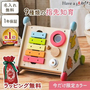 【Xmas限定販売】名入れ無料& 1年保証 知育玩具 木のおもちゃ 指先レッスンボックス ソフトカラー エデュテ 1歳誕生日プレゼント 2歳 女の子 プレゼント 男の子 1歳半 一歳 おもちゃ 赤ちゃん