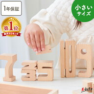 【20％OFFクーポン! お買い物マラソン限定】積み木 サムブロックス ミニスターターセット Sumblox エデュ…