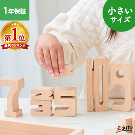 積み木 サムブロックス ミニスターターセット Sumblox エデュテ | つみき 積木 数字 3歳 4歳 5歳 女の子 男の子 プレゼント 誕生日プレゼント 誕生日 知育玩具 子供 子ども 木製 ブロック 知育おもちゃ 知育 木育 脳トレ かず 計算 形合わせ パズル 数 足し算