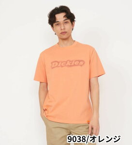 �yDickies�����z�y�傫���T�C�Y�z�O���t�B�b�NT�V���c ����(Fuzzy Logo) �f�B�b�L�[�Y